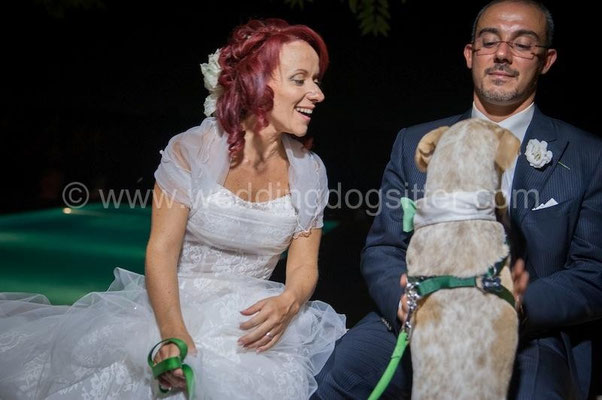 MATRIMONIO WEDDING DOG SITTER SPOSI CANE TENUTA DI RIPOLO