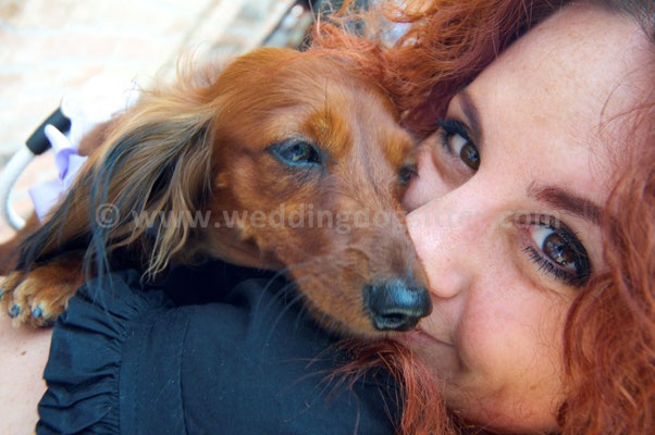 MATRIMONIO WEDDING DOG SITTER PERUGIA