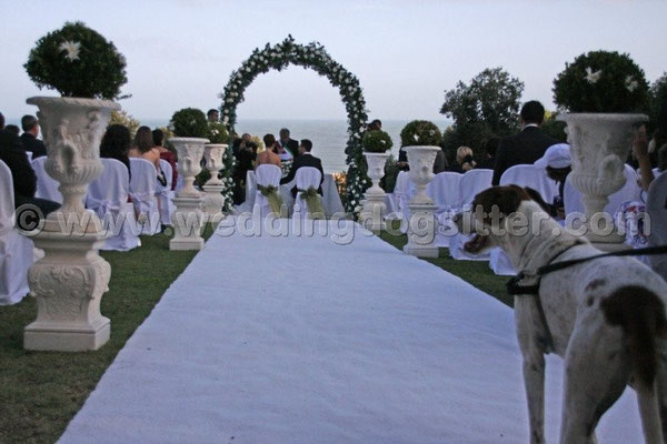 MATRIMONIO WEDDING DOG SITTER ROMA