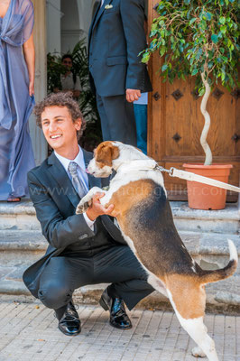 Sposarsi con il cane portato dalla dogsitter per matrimoni