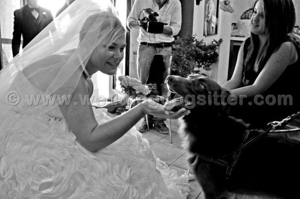 MATRIMONIO WEDDING DOG SITTER ROMA