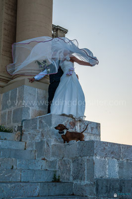 FOTO SPOSI MESSINA CON IL CANE