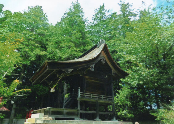 逸朗　　杜の神社