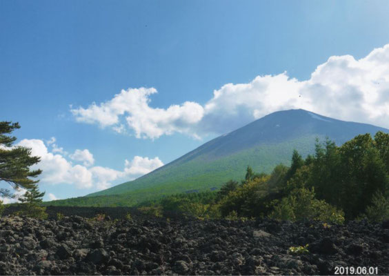 とらさん　　岩手山と焼走り