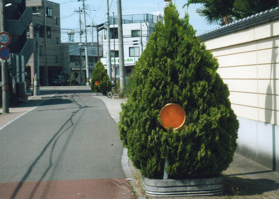 せせらぎ　　一所二役　　