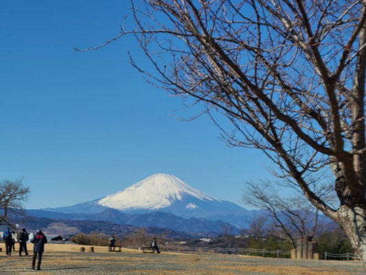快晴で富士山もばっちり。
