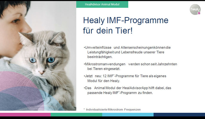 Healy-IMF-Programme, Foto copyright healy world