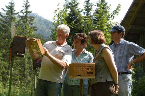 bvi-lindau-westallgaeu.jimdo.com/Imker Neueinsteiger  fragen Martin Kempter