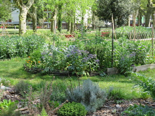 Le jardin Villa Pia installé dans le parc des Dames de la foi, dans le quartier saint -Genès