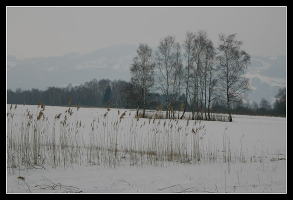 © Reinhard Büchele