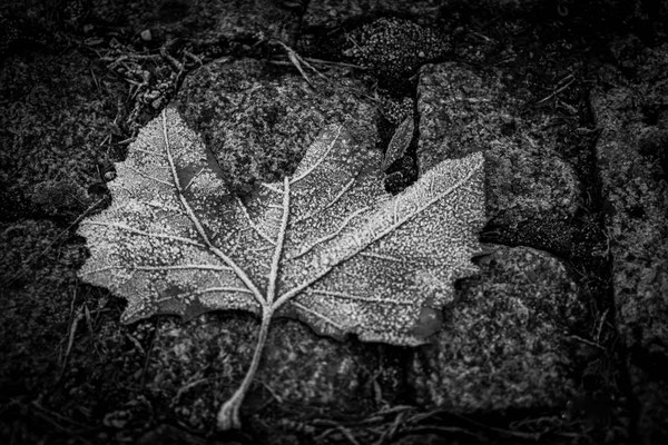 © Michaela Insam