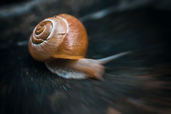 © Gabi Nagel