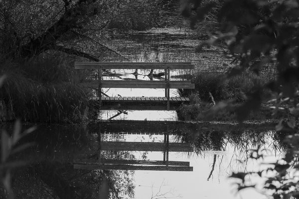 © Stefan Schilcher