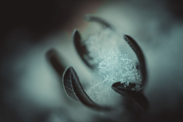 © Gabi Nagel
