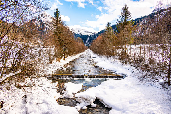 Kälte und Frost