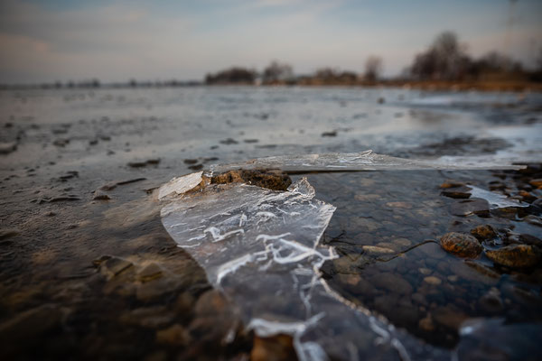 Kälte und Frost