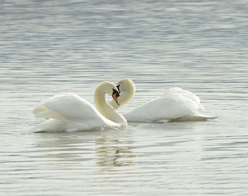 © Wolfgang Hämmerle