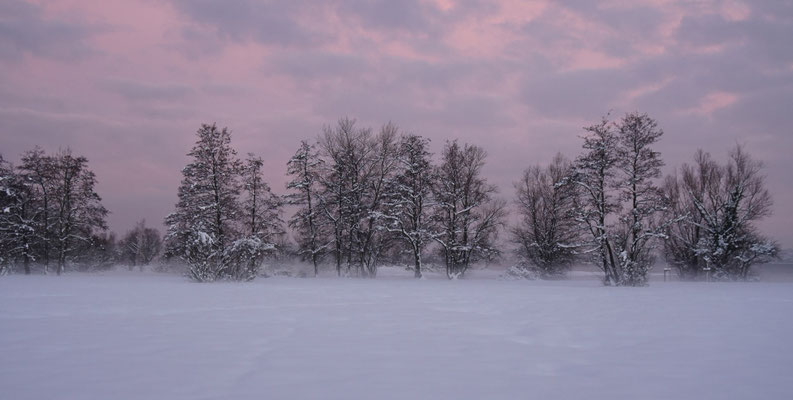 © Robert Schönbeck