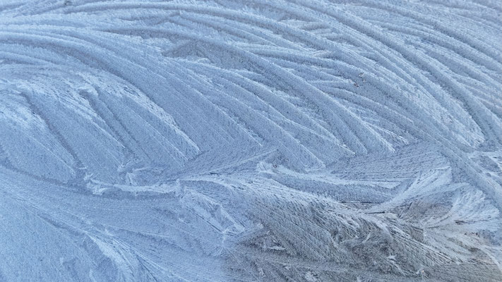 Kälte und Frost