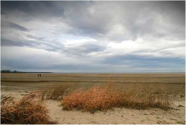 © Reinhard Büchele