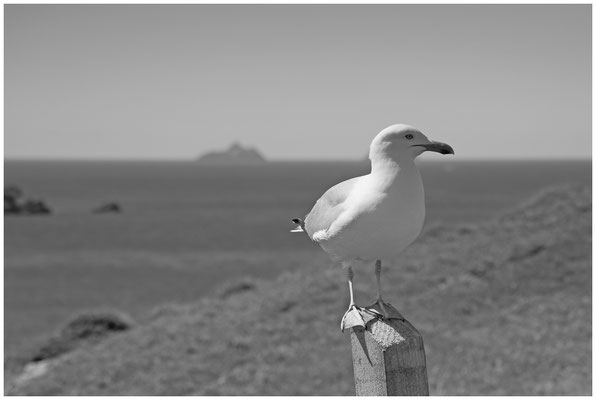 © Reinhard Büchele