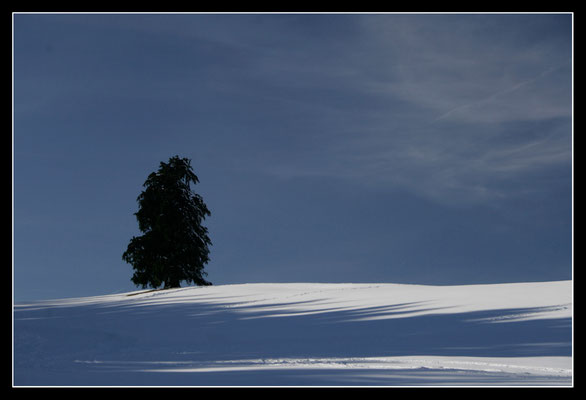 © Reinhard Büchele