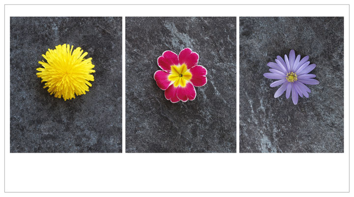 Blüten