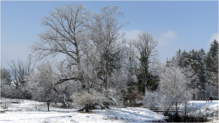 Kälte und Frost