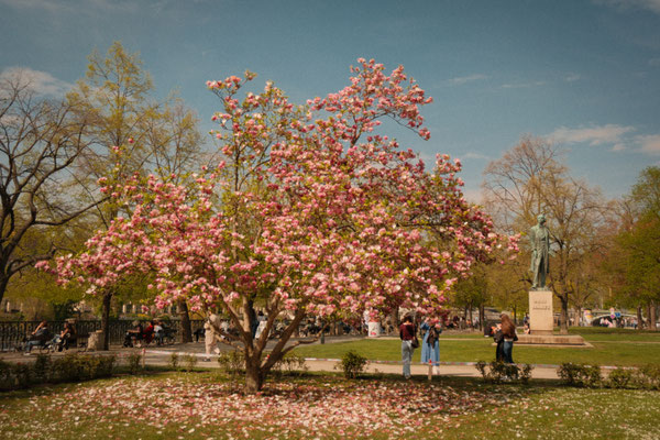 Blüten