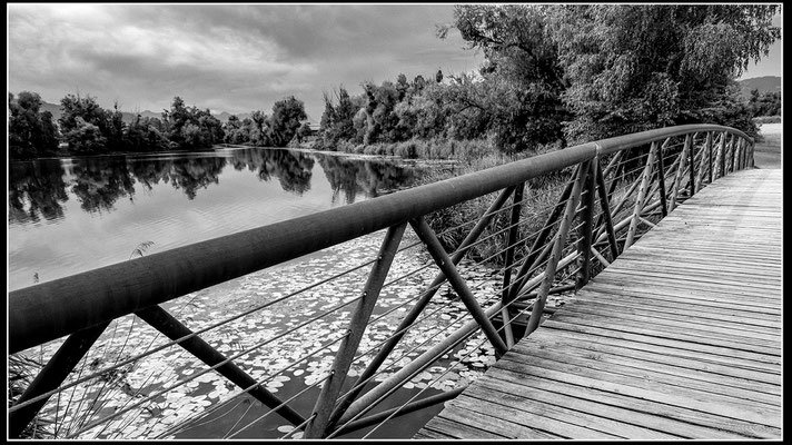 © Reinhard Büchele