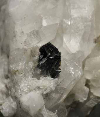 Manche Brookite aus Elm zeigen eine Umwandlung in Rutil, als die Bedingungen sich veränderten. Überall aus dem Kristall treten nun feine, schwarze Rutilbüschel hervor.