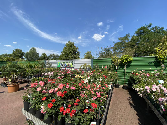 galerie fleur garten