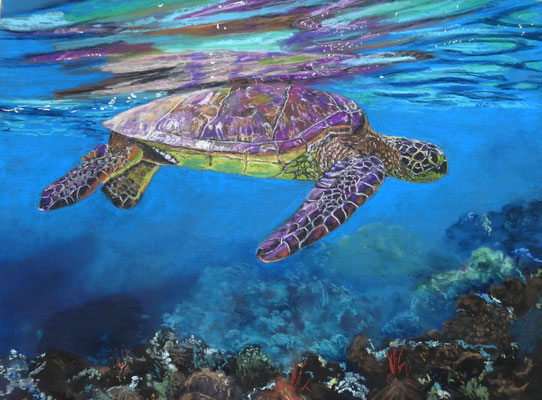 Honu IV, Pastell, 30x40cm