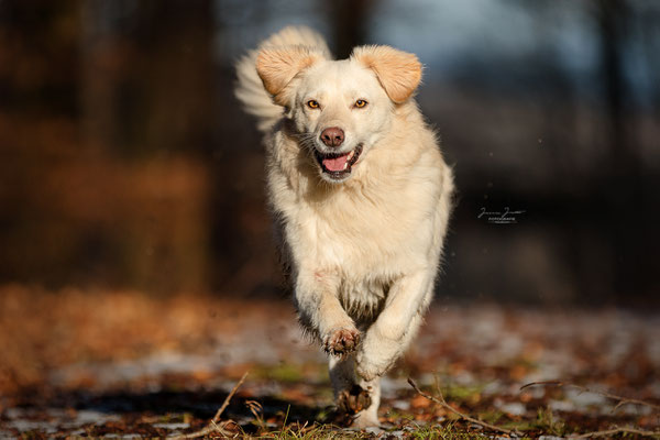 Selly, Februar 2018