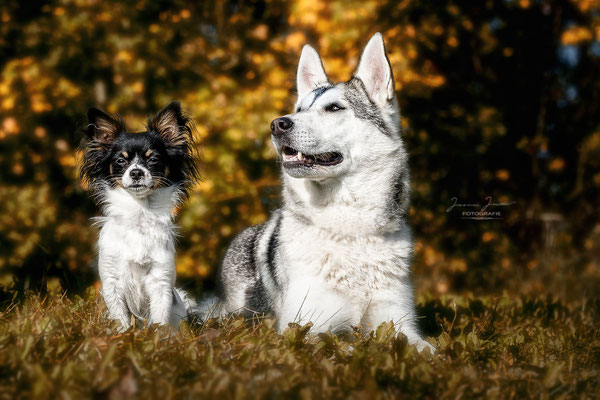 Cleo&Tala, Sharity Shooting, September 2017