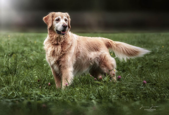 Duke, Sharity Shooting, September 2017