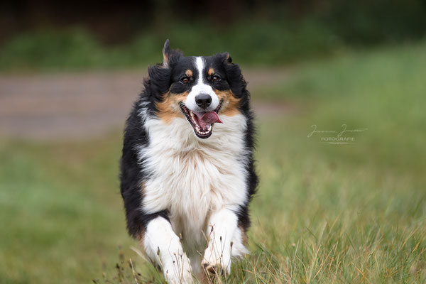 Charlie, Sharity Shooting, September 2017