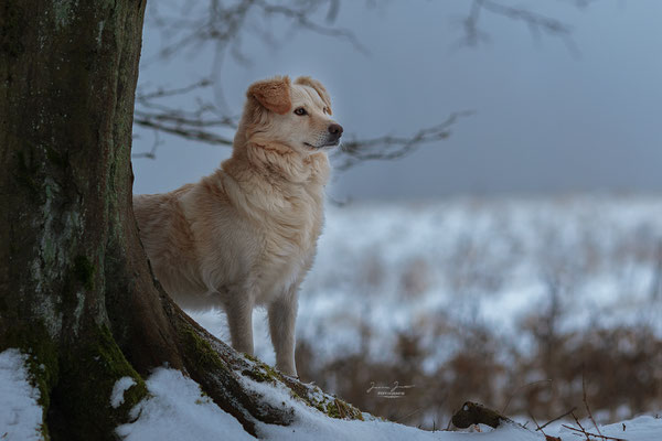 Selly, März 2018