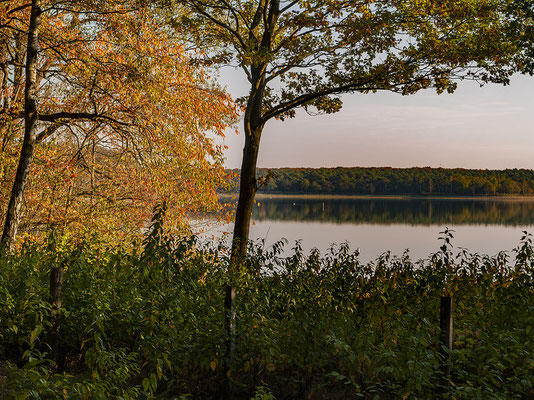 Herbststimmung- Rund um den Halterner Stausee