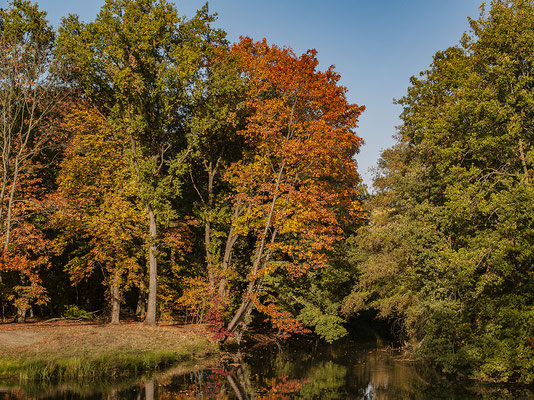 Herbststimmung- Rund um den Halterner Stausee