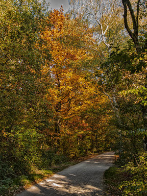 Herbststimmung- Rund um den Halterner Stausee