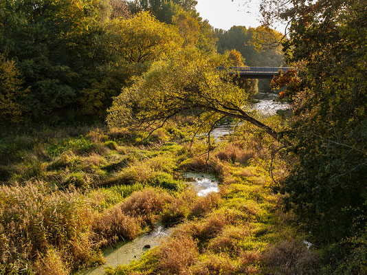 Herbststimmung- Rund um den Halterner Stausee