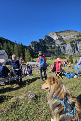 Flims: Alpabzug Flimserstein