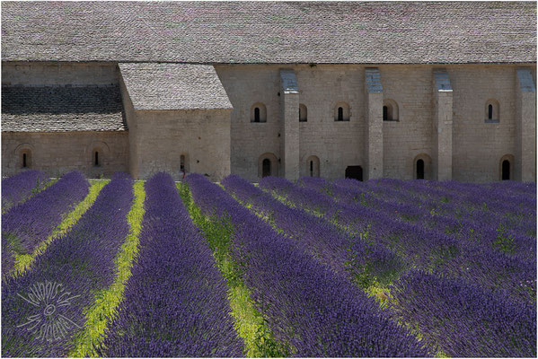 Abbaye Notre-Dame de Sénanque