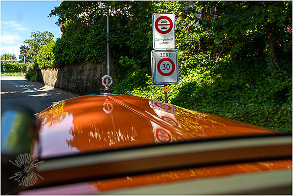 Zubringerdienst ins Bollenfeld mit dem Gusto-Berna 4UL/T1