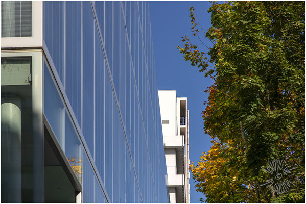 Novartis Campus