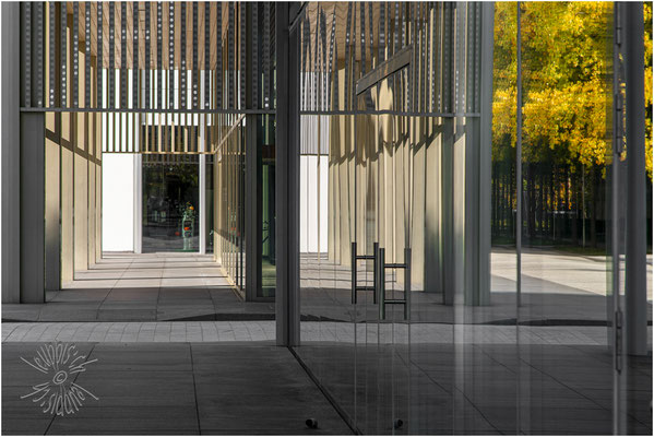 Novartis Campus