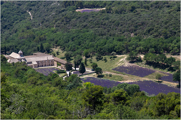 Abbaye Notre-Dame de Sénanque