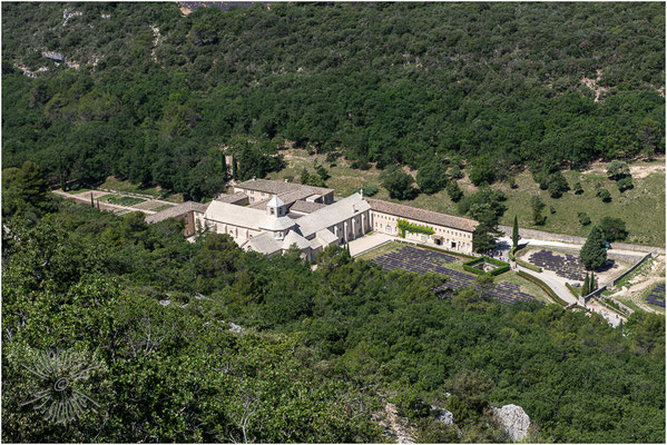 Abbaye Notre-Dame de Sénanque