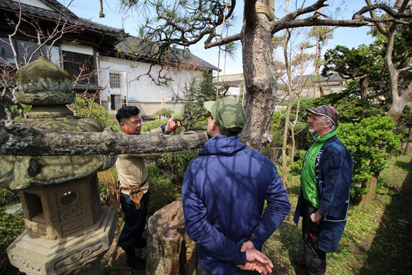 ロバートさん 村上事務所で日本の庭仕事をご体験 株式会社マルイチ ウッドタワー工法での特殊伐採